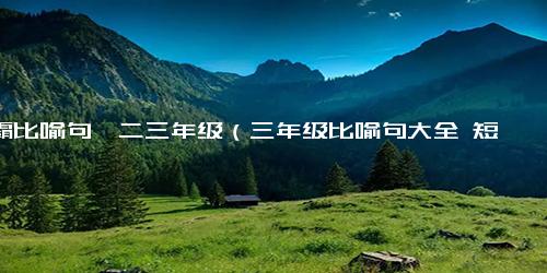 学霸比喻句一二三年级（三年级比喻句大全 短一点）